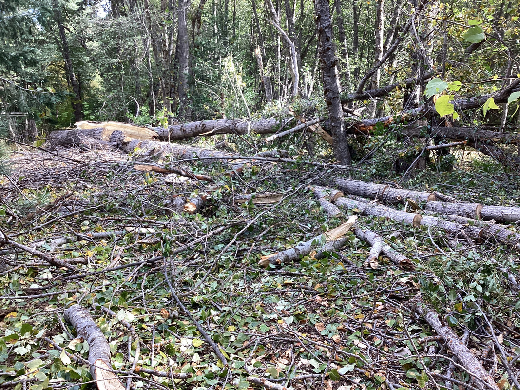 9E45604A-B771-48DA-8E87-6839071FB142