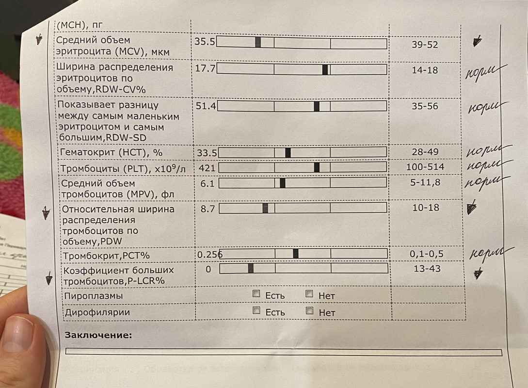 159548BF-AEEA-4E2D-B603-A9DCB2005F79