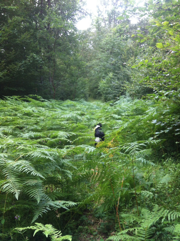 FEC3F654-2BB5-4883-9EEE-68594F762F51