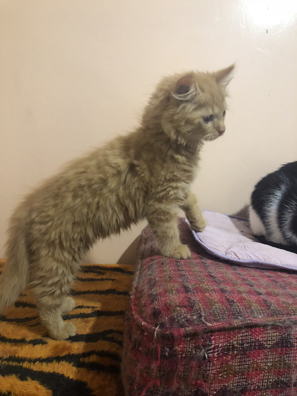 13125A9D-7796-48FD-9899-AC2AF3C578DF