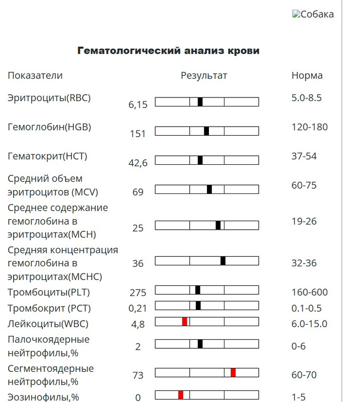 общий 1