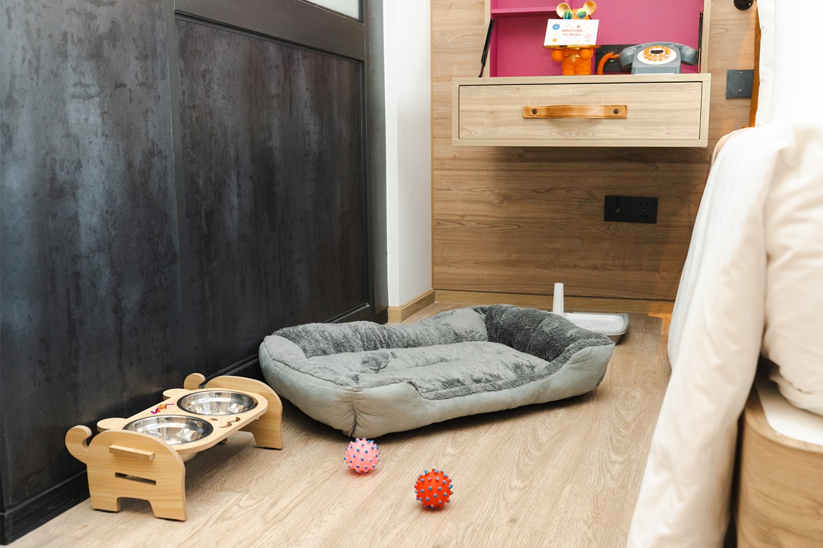 L BKKOX Pet Friendly Set up DOG