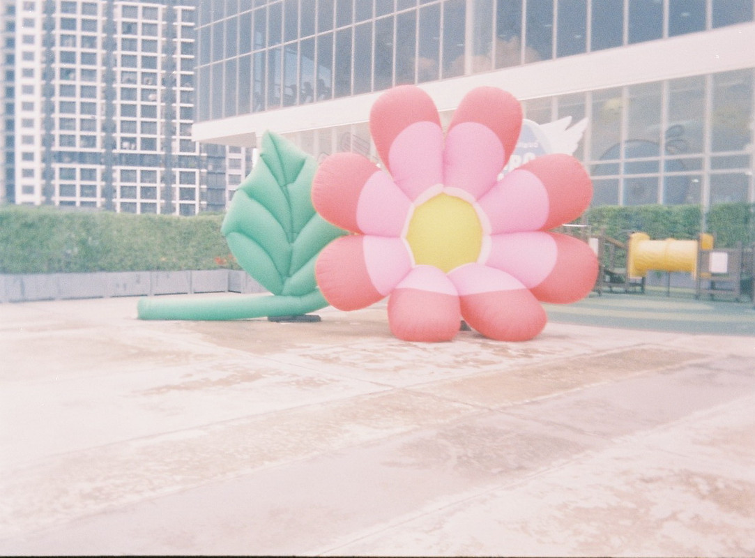 Vision3-HF-36-L-resize