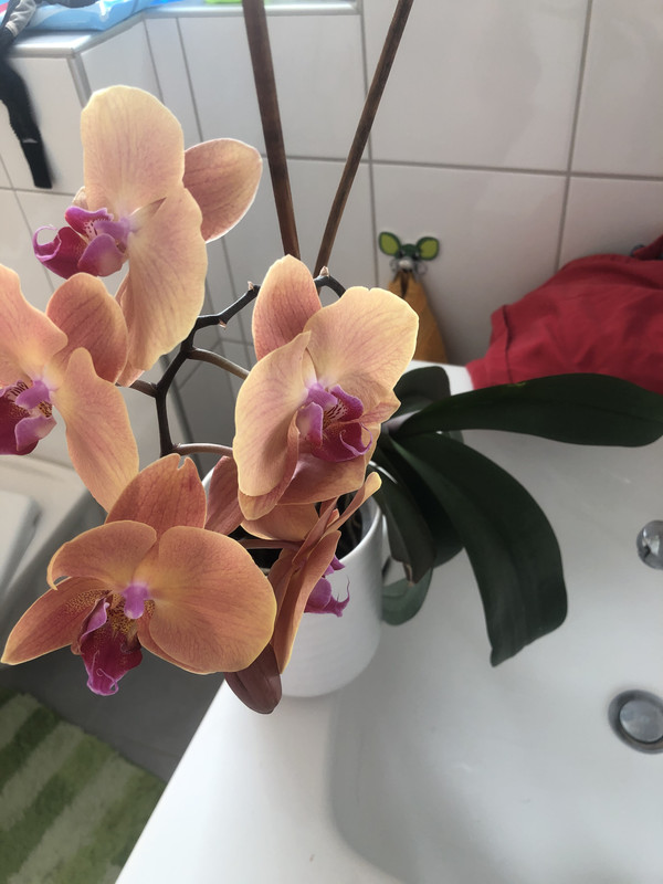 3D0C378B-248E-406C-8DA2-2ADC8C0D01EA