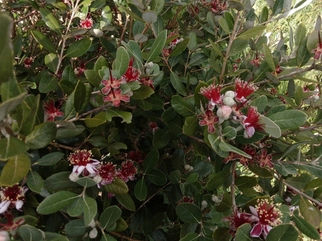 DSC_0296_resized_20190610_092507960