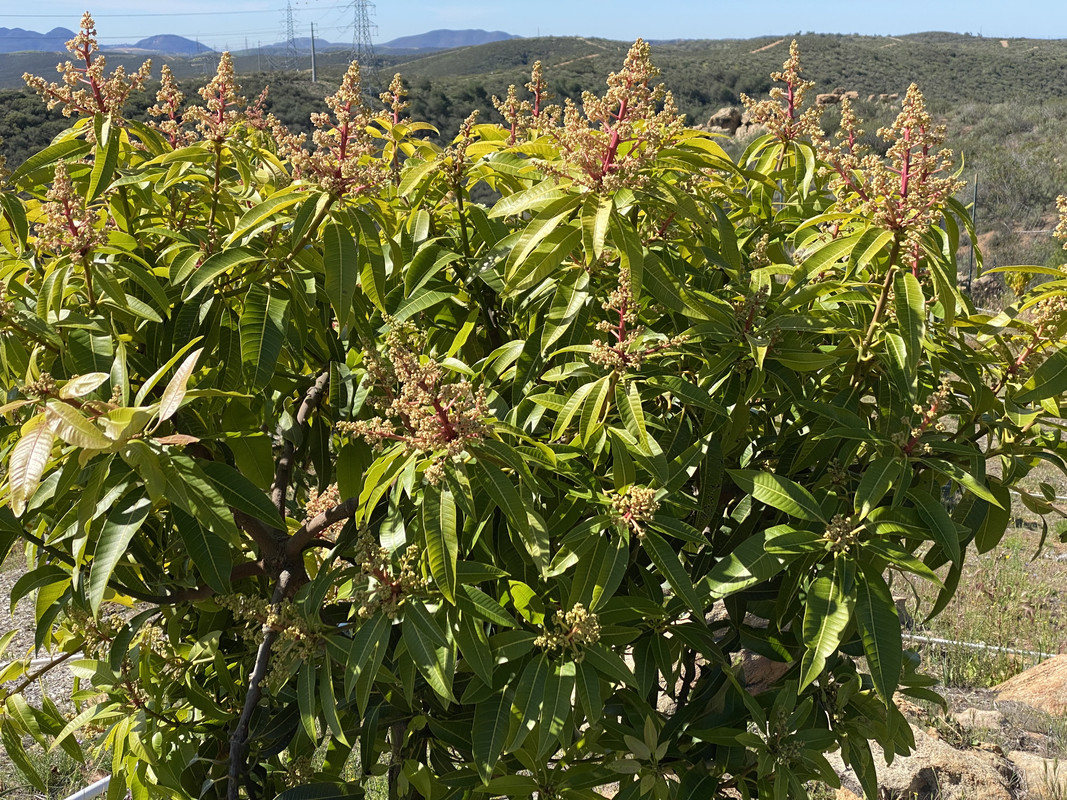 5B4071D6-B114-47C0-848C-81C138DA06E4