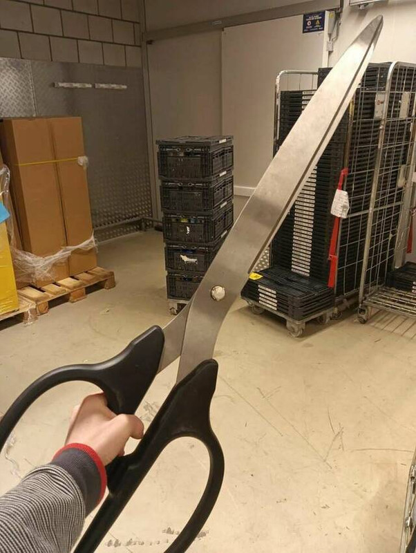 picdump-kw14-2025-099.jpg