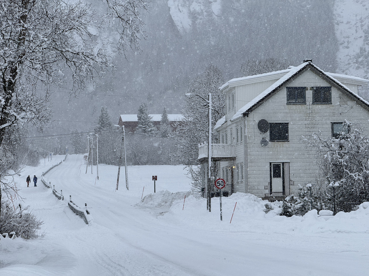 [Immagine: IMG-9104.jpg]