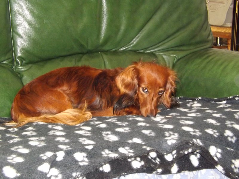 [Image: DSCF2238.jpg]