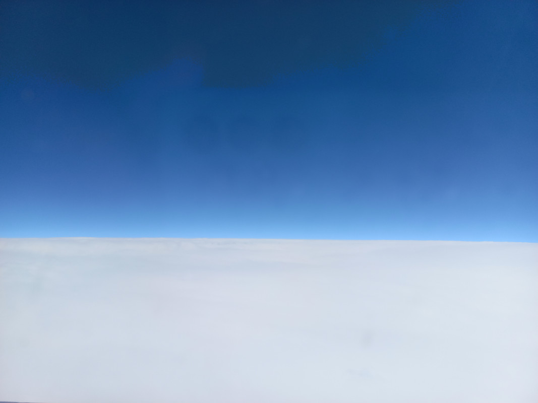 20230729-113300.jpg