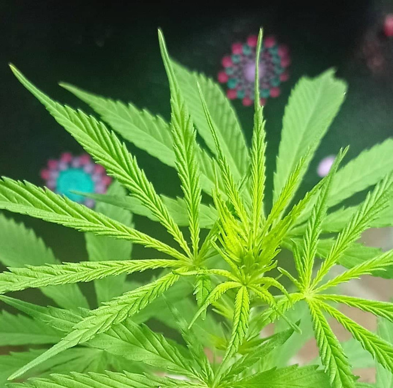 310058022_5634199236662010_2315713662491815451_n