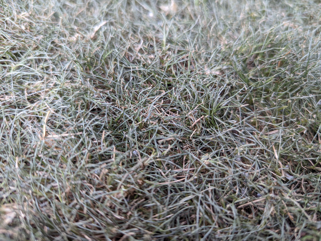 PXL_20220519_232406452