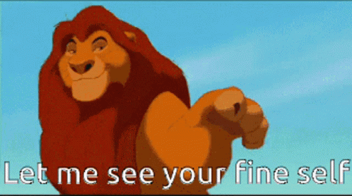 let-me-see-your-fine.gif