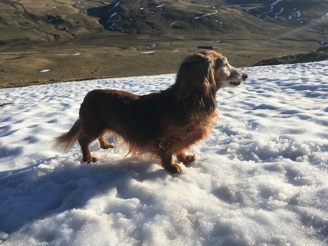 [Image: IMG-0252.jpg]