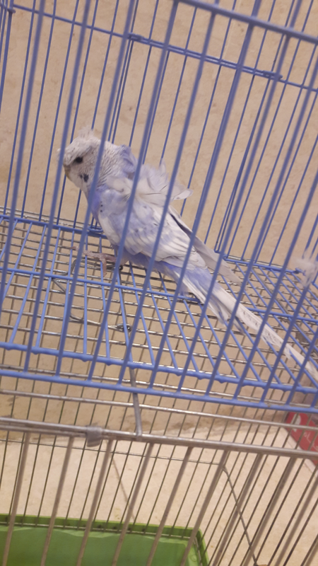 ٢?١٨?٤١٧_١٩٤٦٥٩
