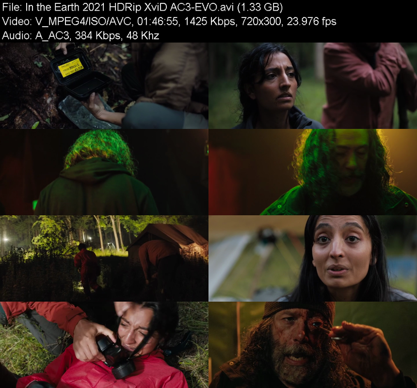 in-the-earth-2021-hdrip-xvid-ac3-evo.png