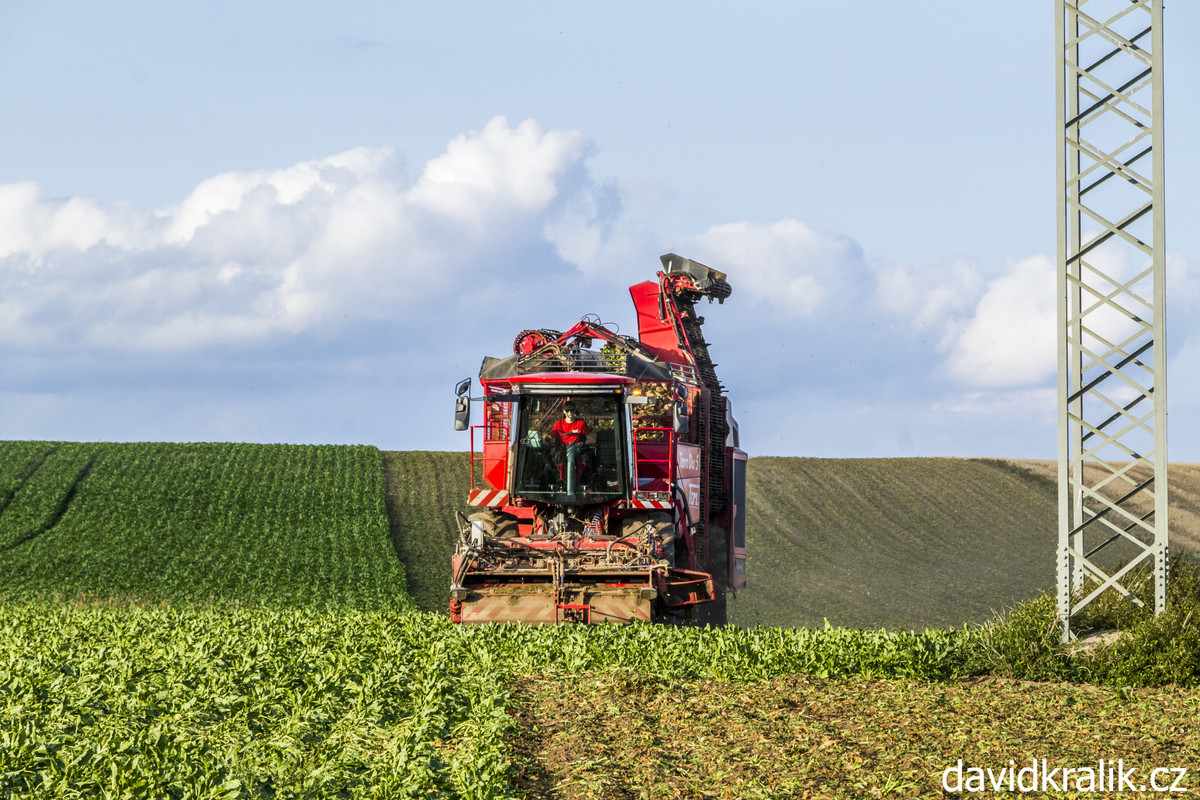 MG 5413 — Postimages