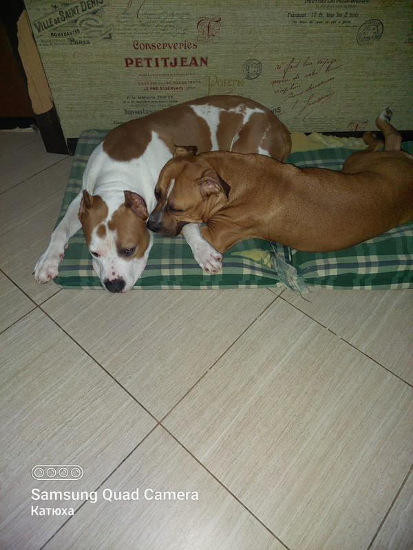 0147F5E2-3DBE-4D82-AD8F-87B95BC62119