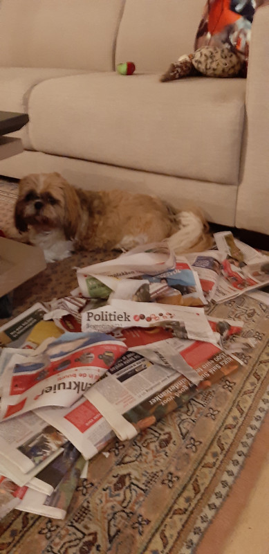 Afbeelding