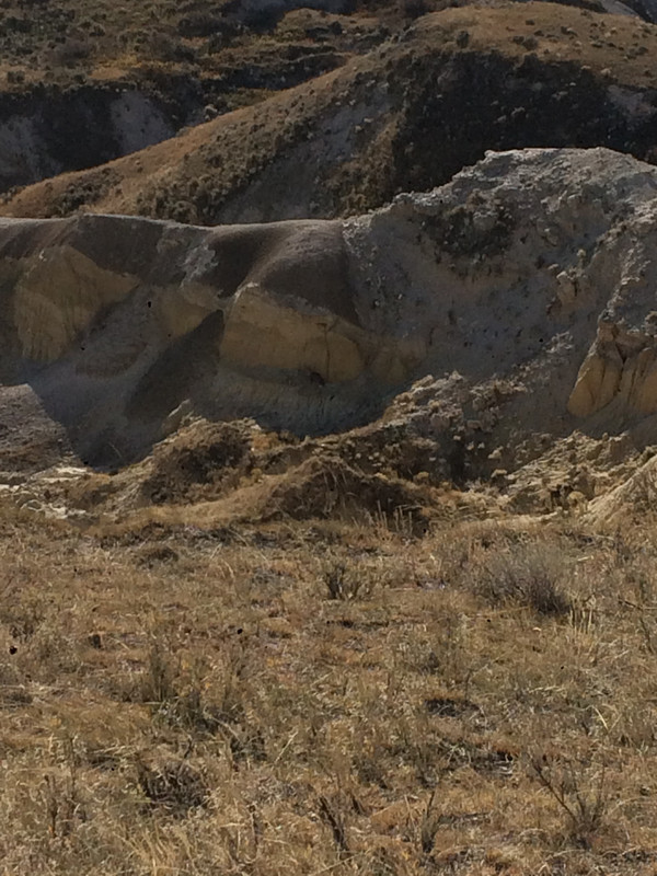 A4785D9C-FC72-4BA1-8424-8DD4D5B34CCF