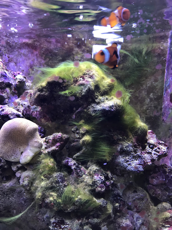 DD08F7E1-E59E-4F89-B24B-947AA88F7AFF