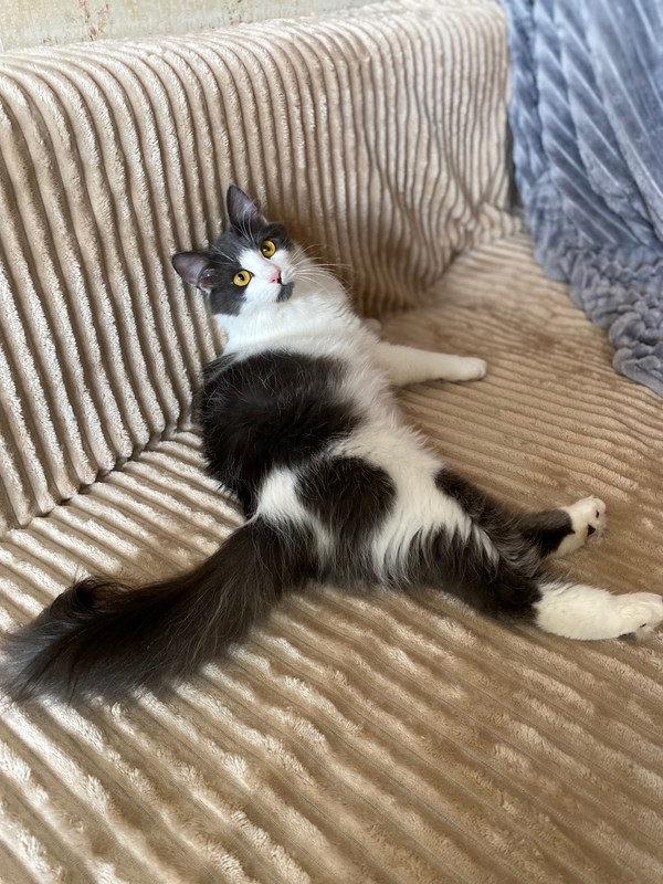 image-26-06-23-07-25-5