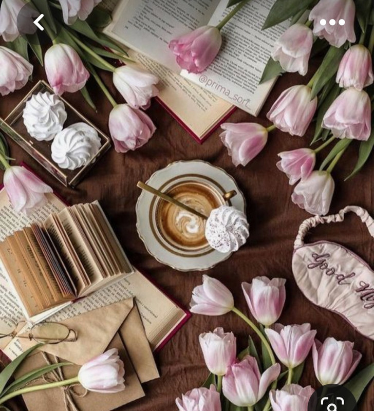 Screenshot_20230528_212125_Pinterest