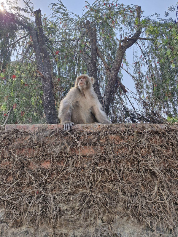 IMG_20240418_084250_256