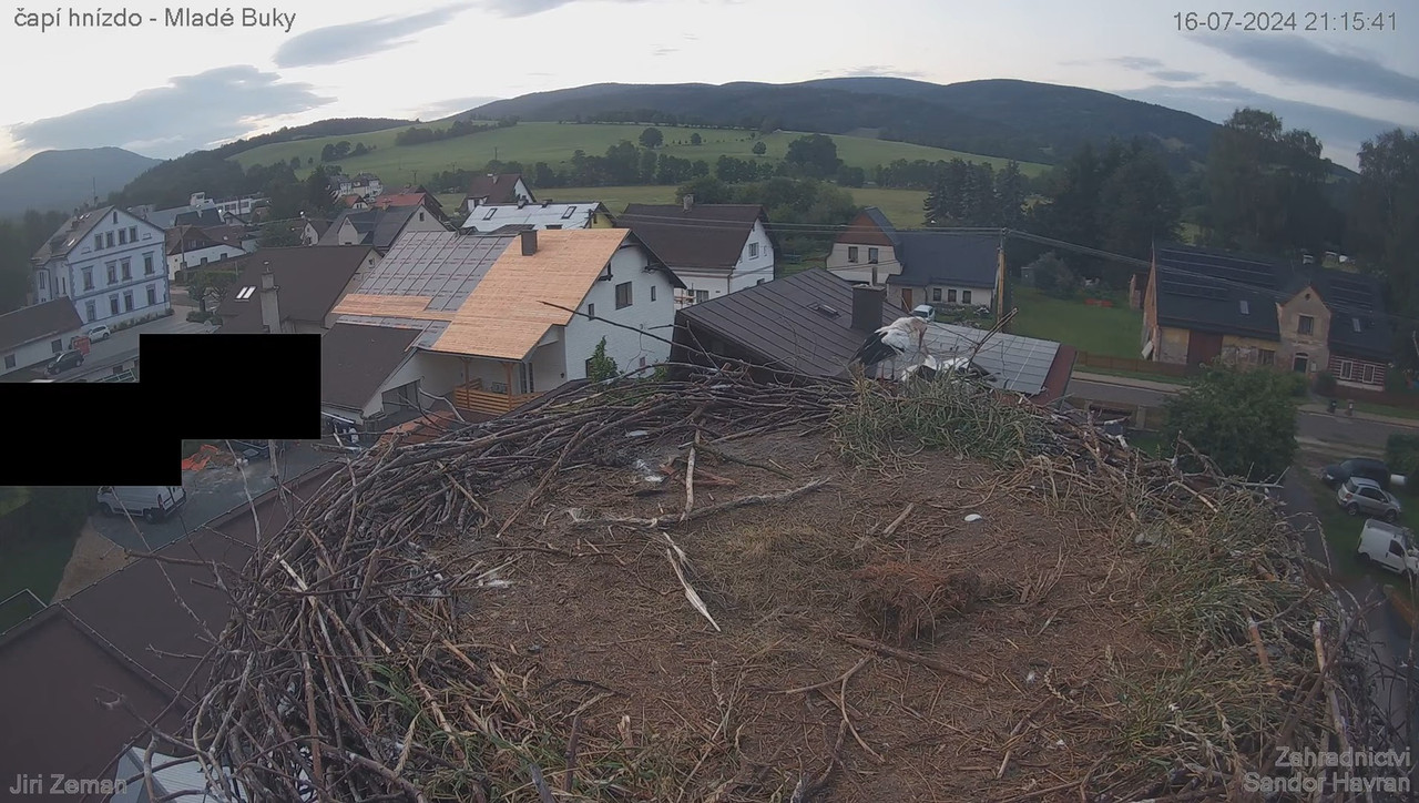 Tiešraides kamera — Mladé Buky — stārķa ligzda 13-37-49 screenshot (1)