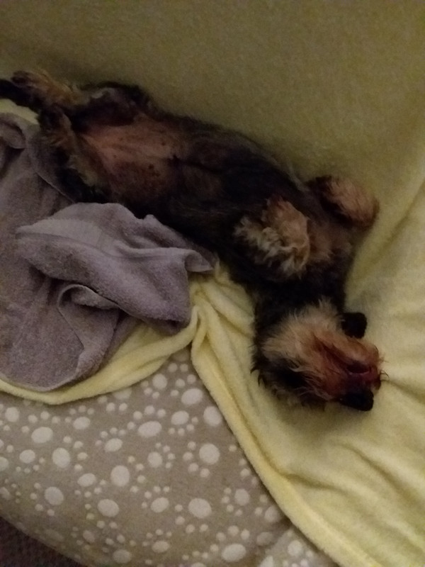 [Image: 20240603-221357.jpg]