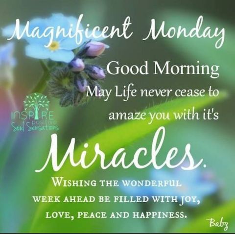 Monday_Magnificent_Miracles