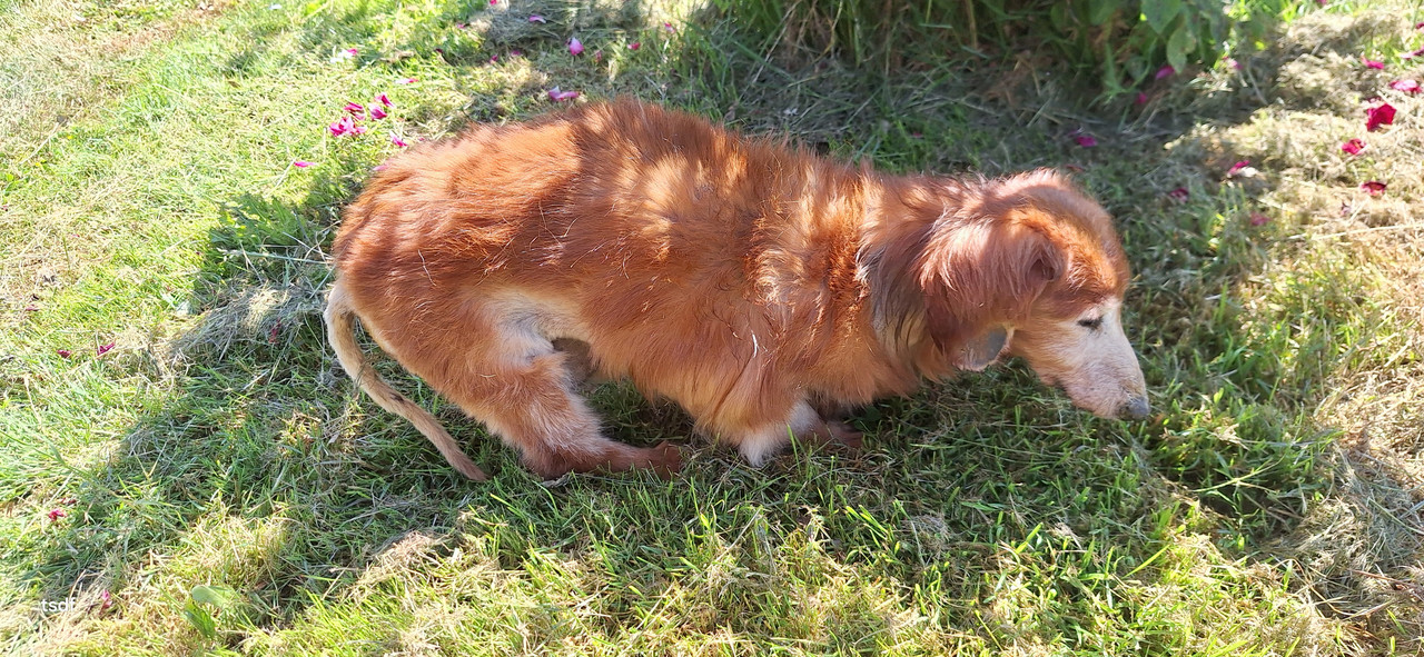 [Image: 20250530-111723.jpg]