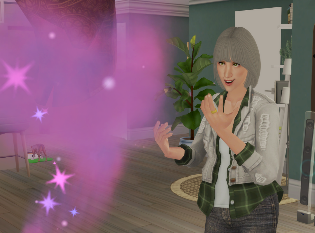 Sims2-EP9-RPC-2024-05-15-17-07-15-69