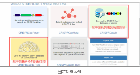 CRISPR–Cas-3.png