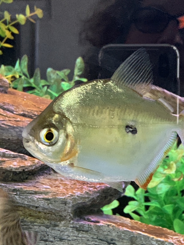 3CA7AD73-B95E-4CC8-82AE-CEF006DFBC51