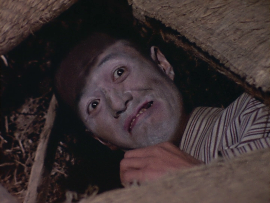 vlcsnap-2025-06-08-02h26m26s186