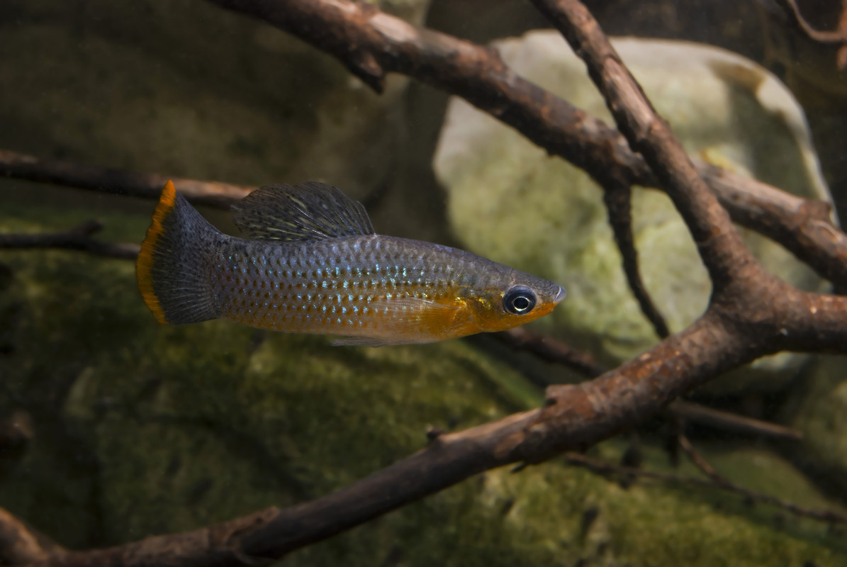 07E12CE9-FABC-40D8-B57D-B857733330C8