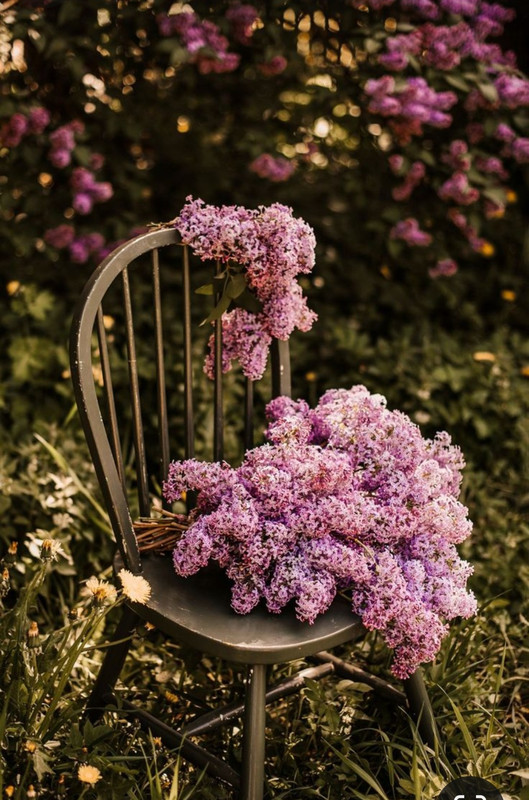 Screenshot_20240514_202804_Pinterest