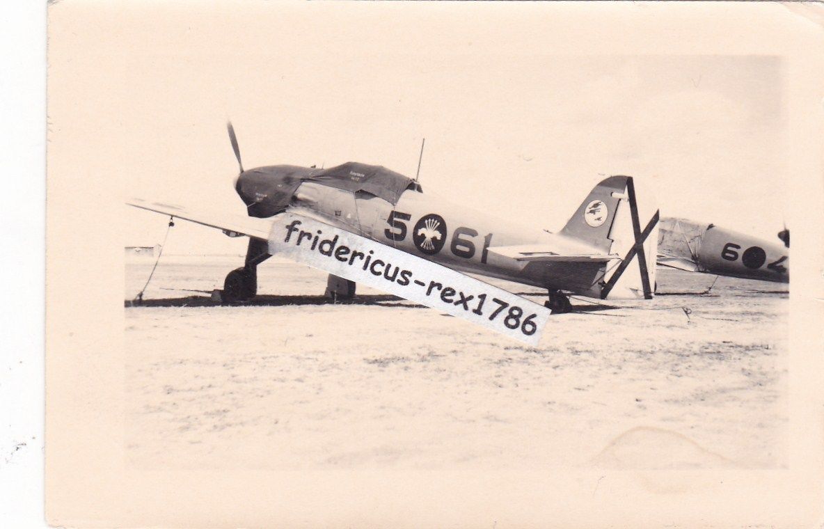 Foto LW Flugzeug Airplane Legion Condor Jäger He