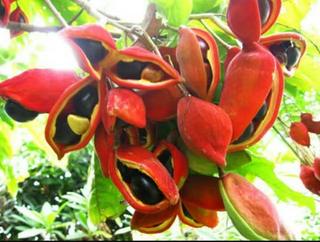 20621898_279482579197284_4613851200197454109_n