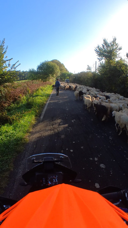 E9E984BC-6C0D-4795-9883-1AF195C9E428