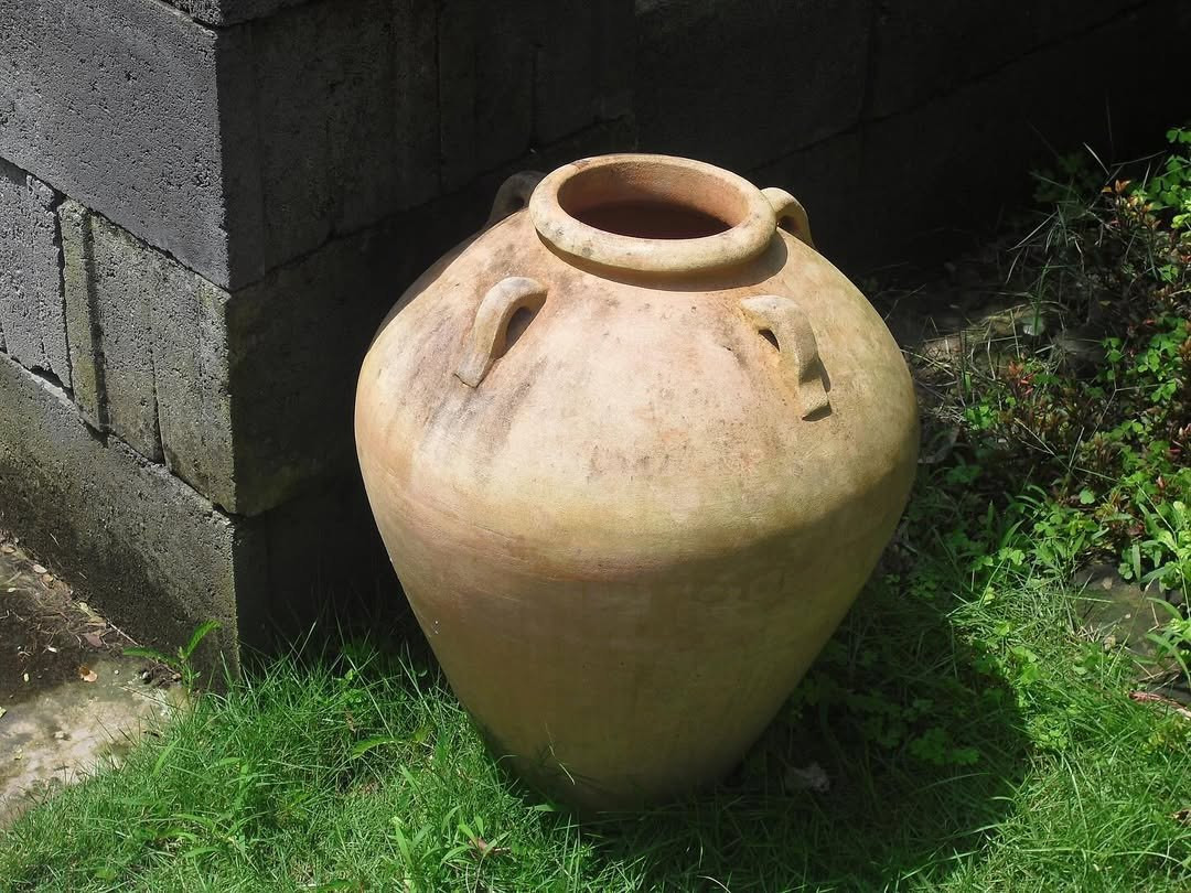 photo 4 2025 12 24 16 04 46