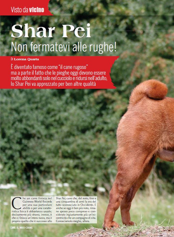 Il M C Dic 2022-Gen 2023 (5)