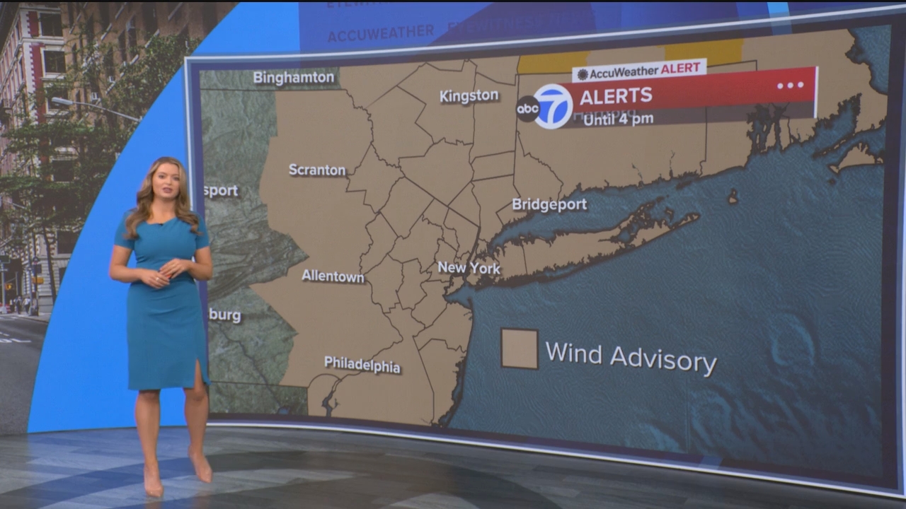 Eyewitness News Mornings at 10_20250307_15001600.ts_snapshot_19.01.669