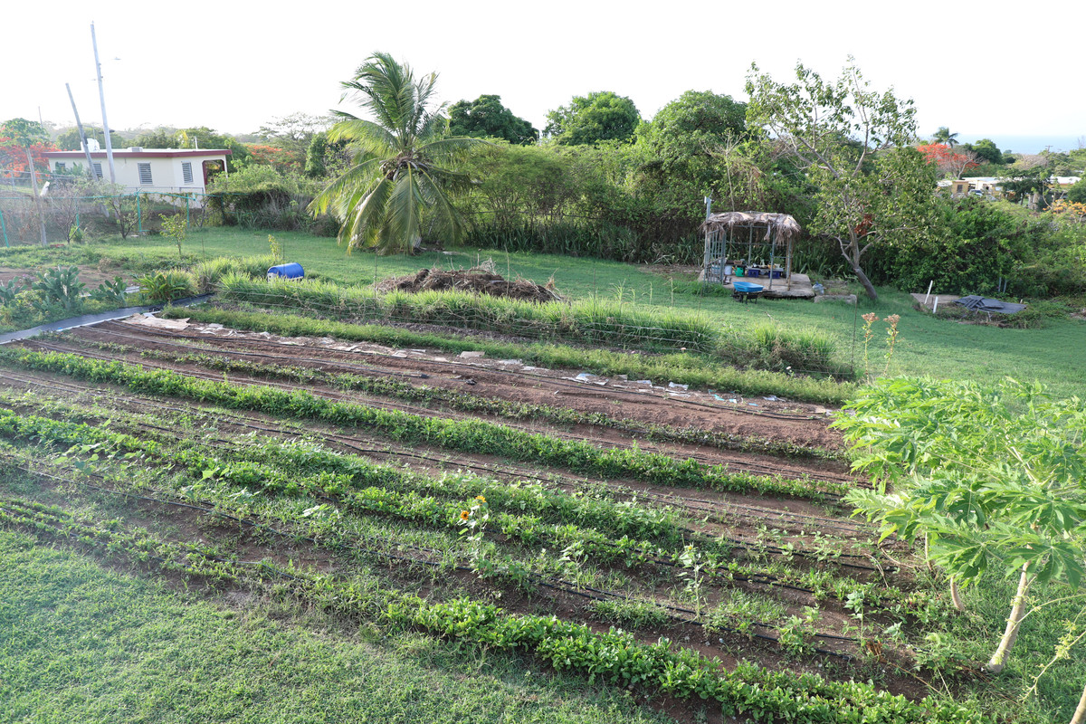 Farm July 2022 