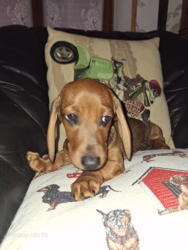 [Image: 20240930-174316.avif]