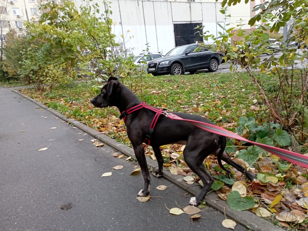 649389B0-F1F7-4557-8274-81D852C78B3E