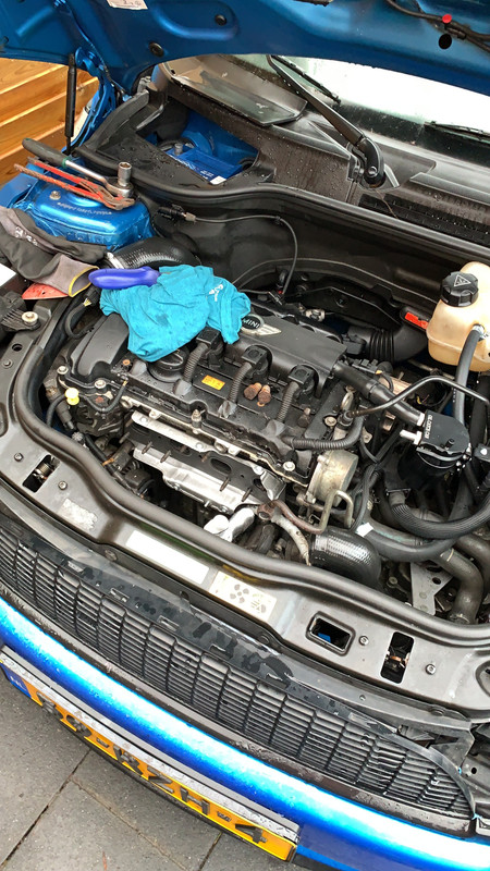 CCD311F1-7C70-4C35-B7D8-75E00FCF378A