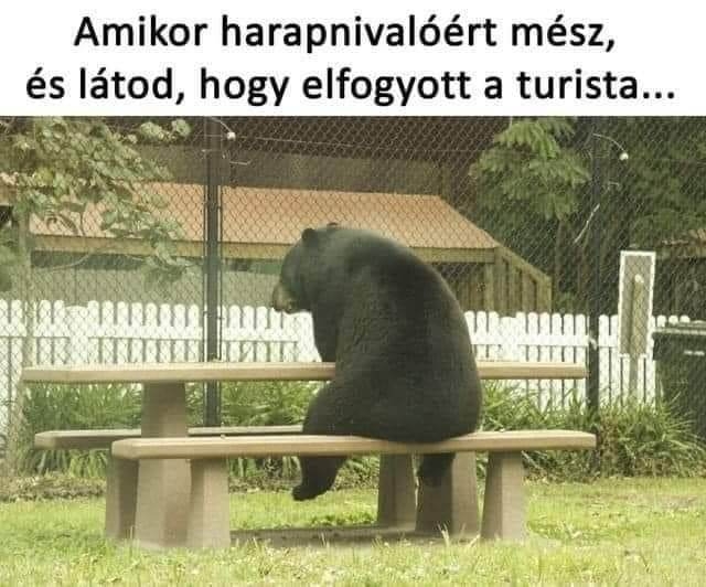 https://i.postimg.cc/XvmQ4NdK/amikor-harapnivaloert.jpg