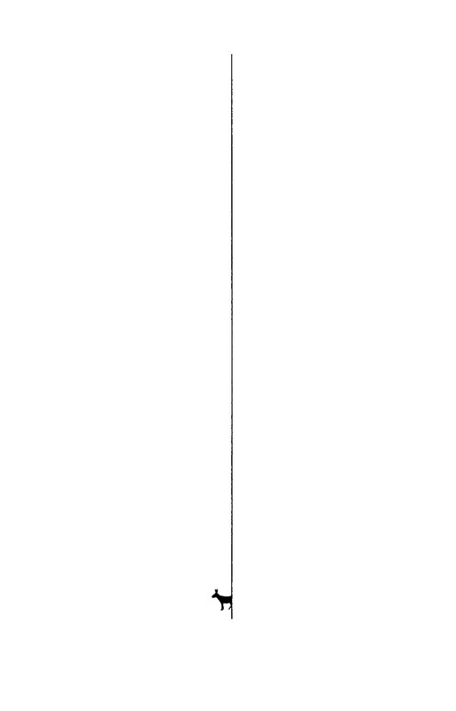 p0002